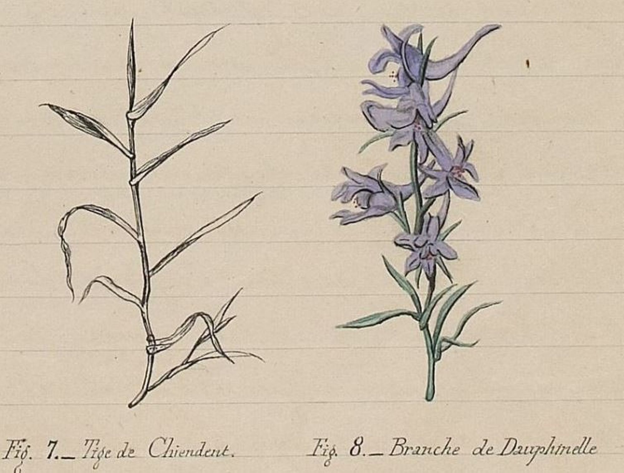 Ateliers en libre accès