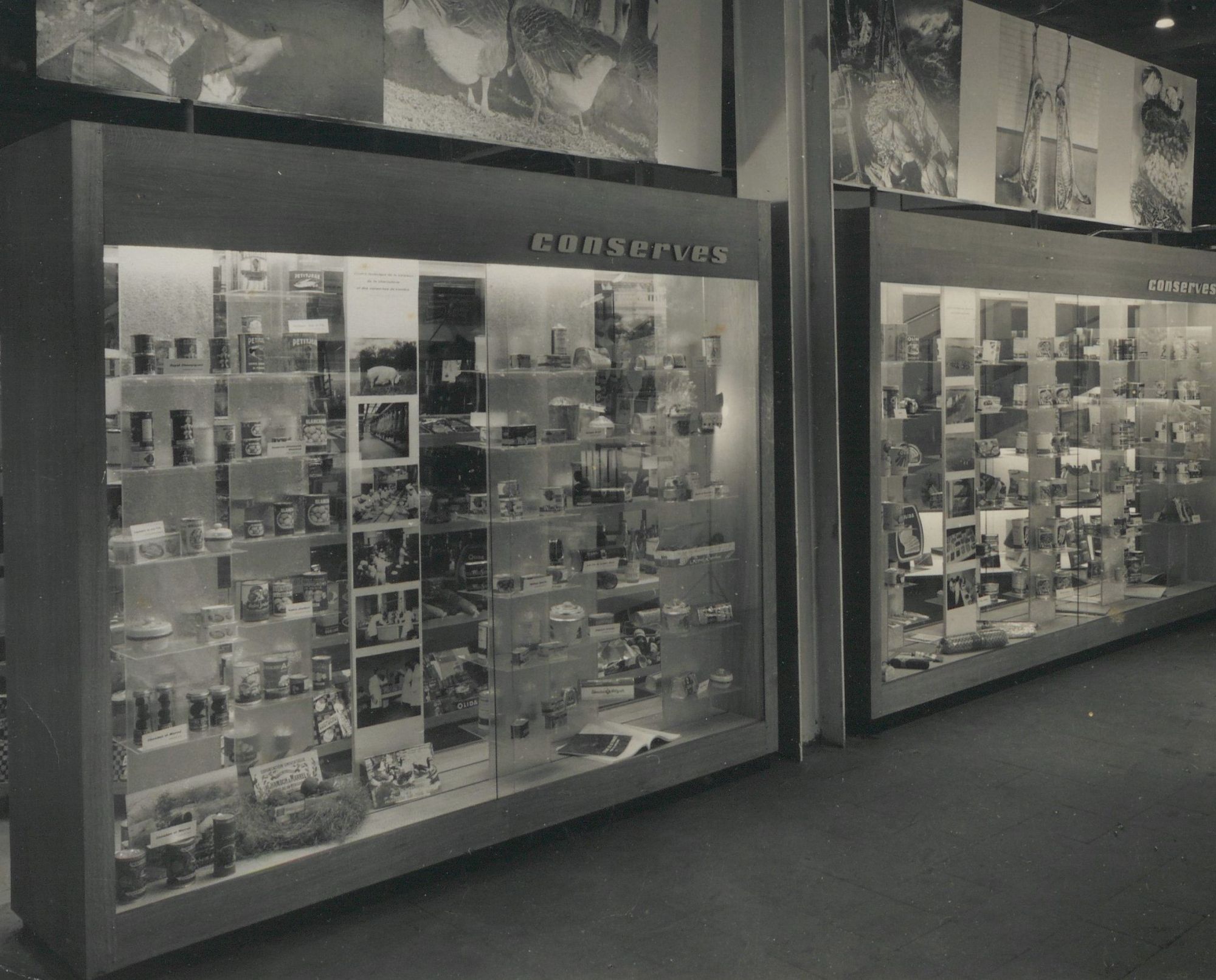 Archives départementales du Lot. Fonds Chambon et Marrel : 94 J 489