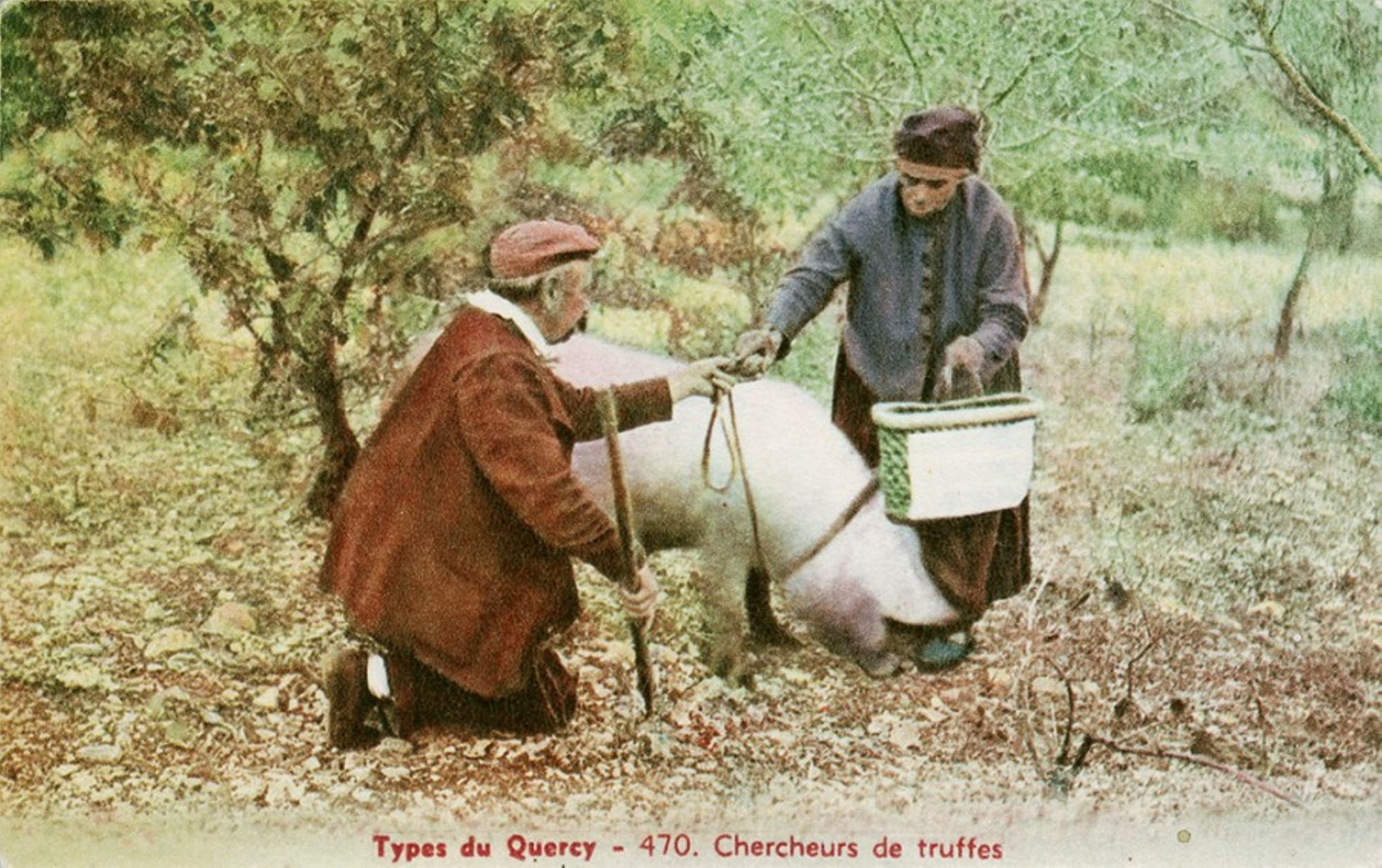 Aide à la recherche