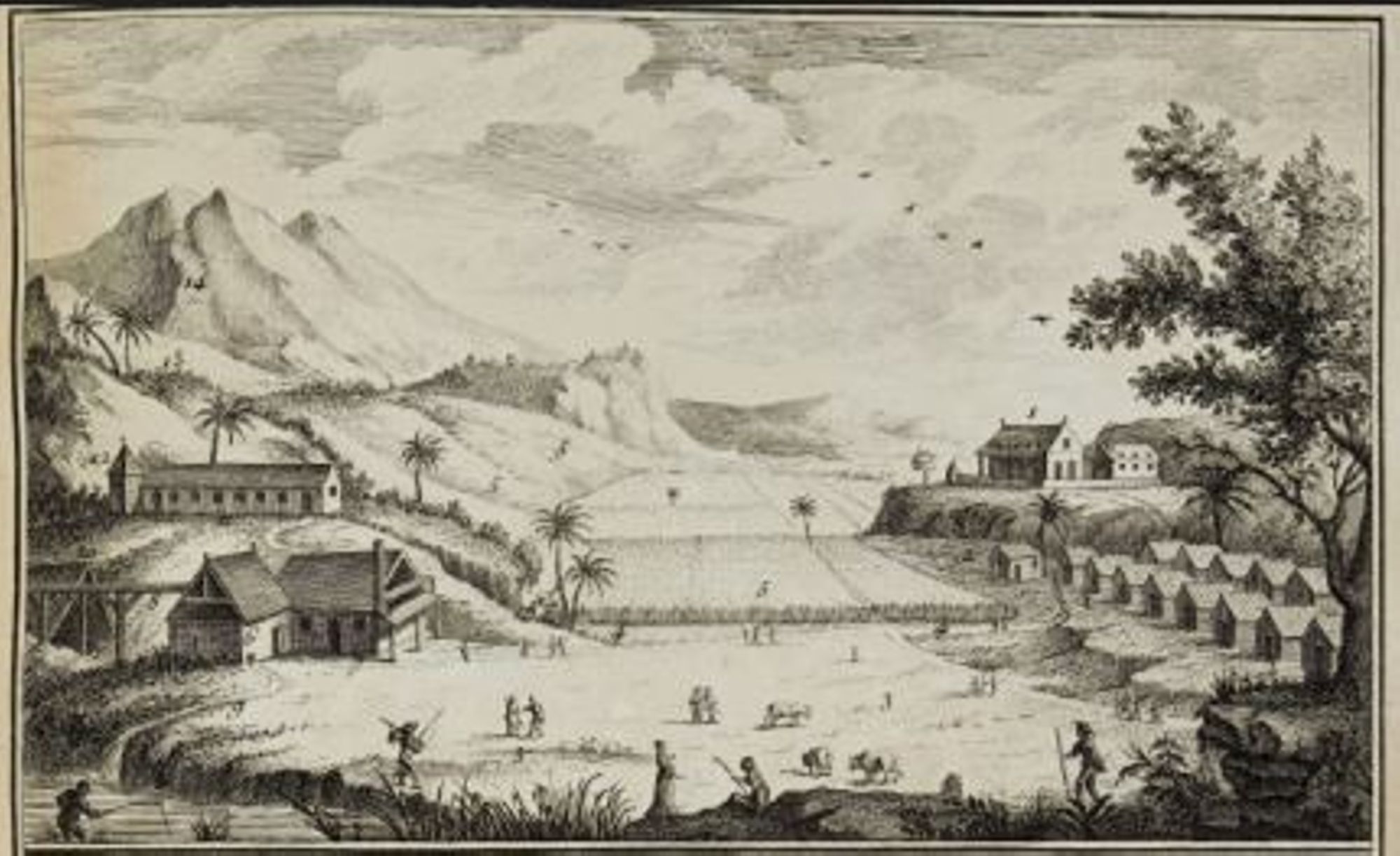 La traite atlantique