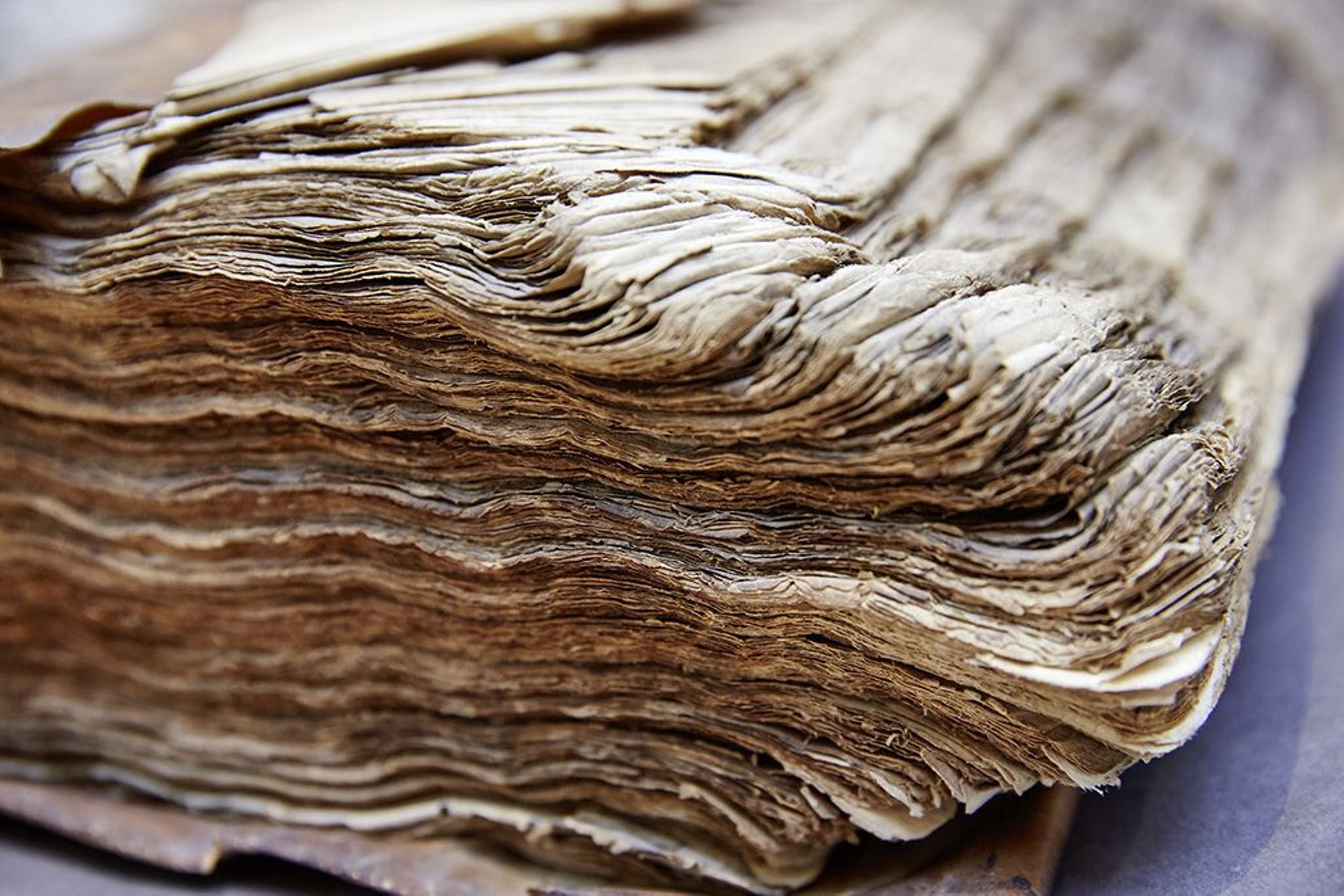 Un patrimoine à préserver.jpg